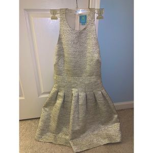 CeCe Sparkly Silver Dress